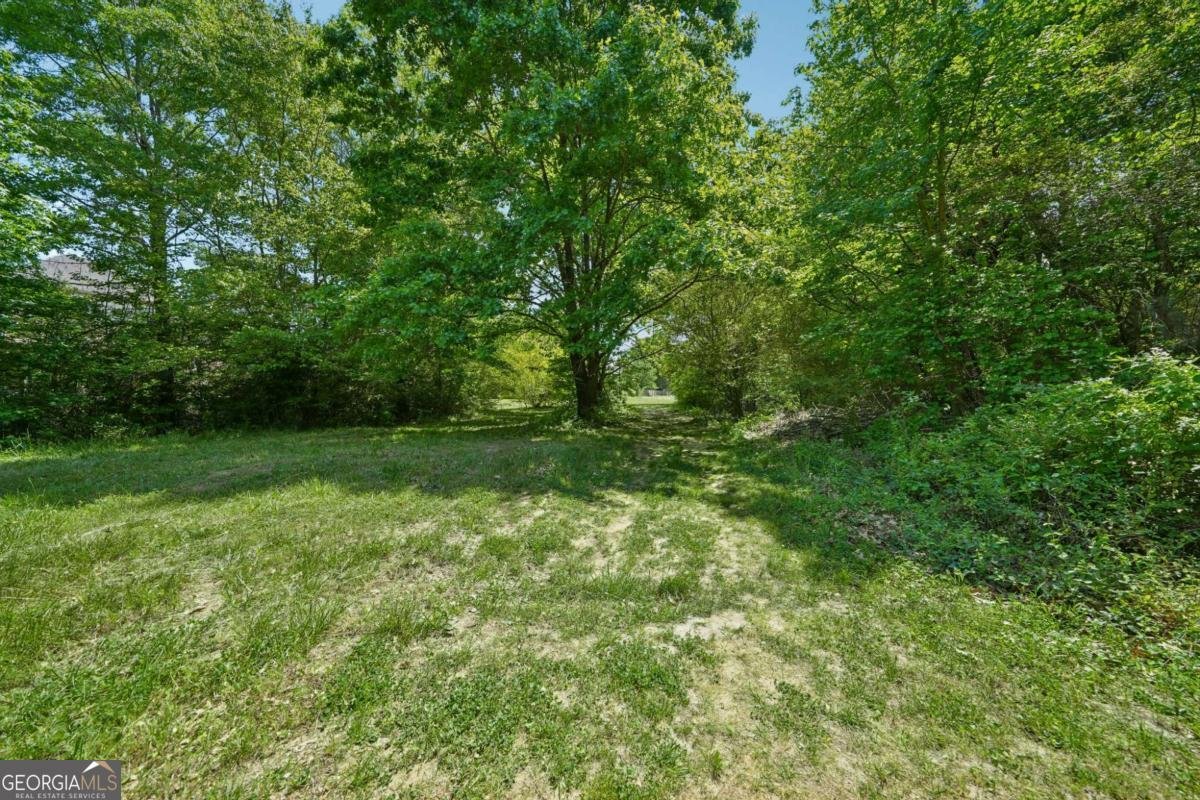3622 Goldenrod Lane Buford - Photo 50