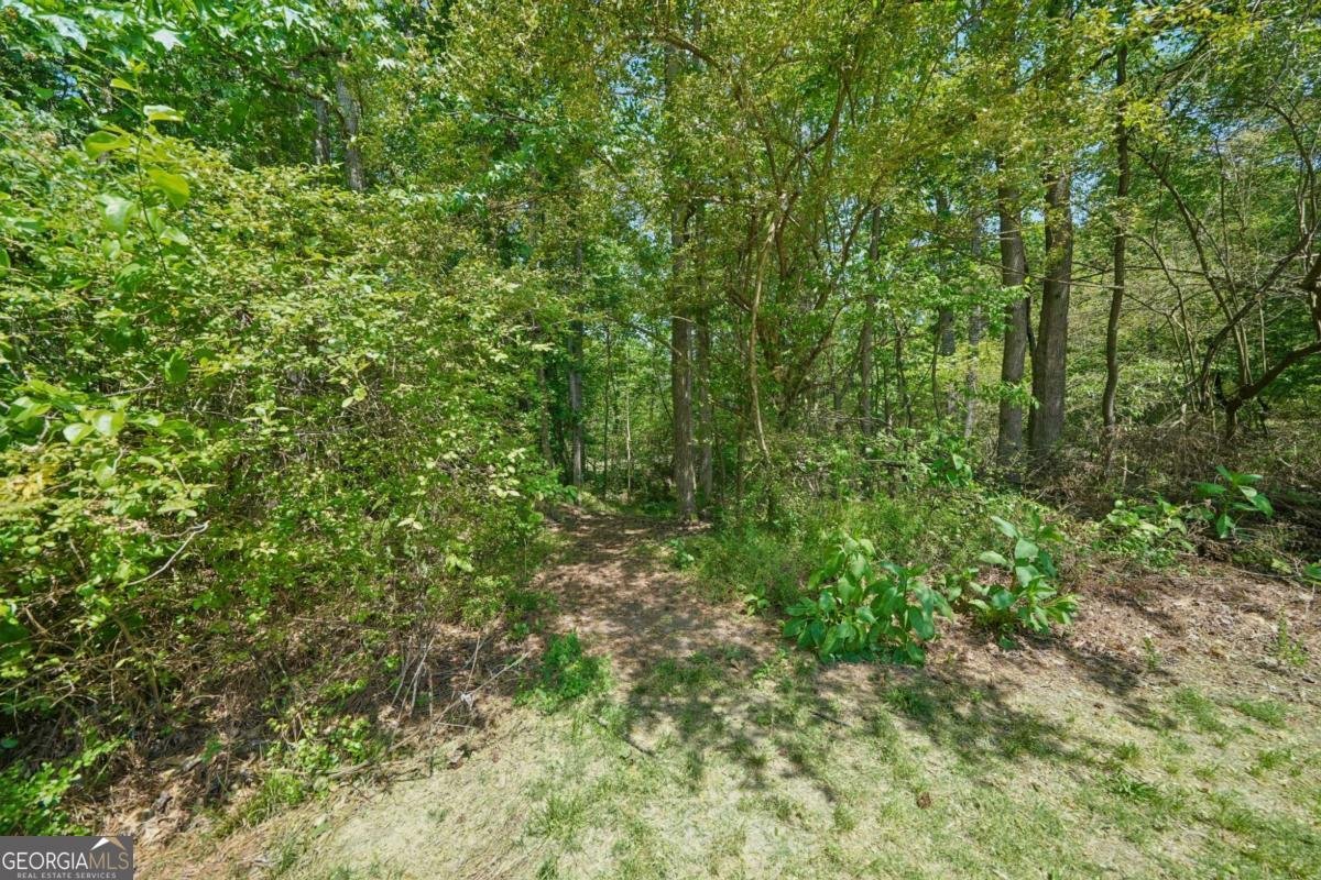 3622 Goldenrod Lane Buford - Photo 51