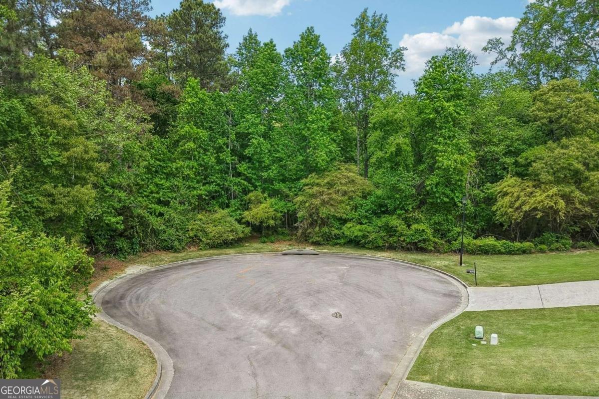 3622 Goldenrod Lane Buford - Photo 54