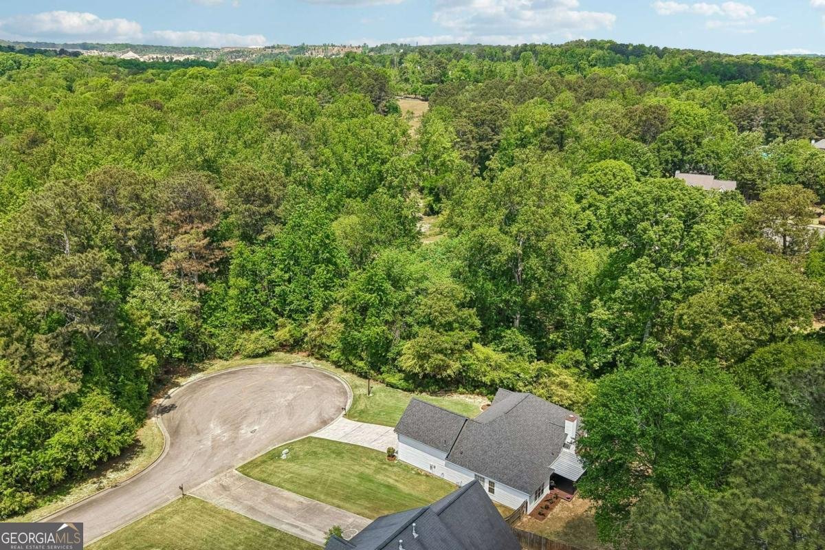 3622 Goldenrod Lane Buford - Photo 63