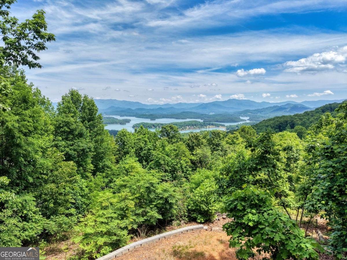 860 Ramey Mountain Road Hiawassee - Photo 35