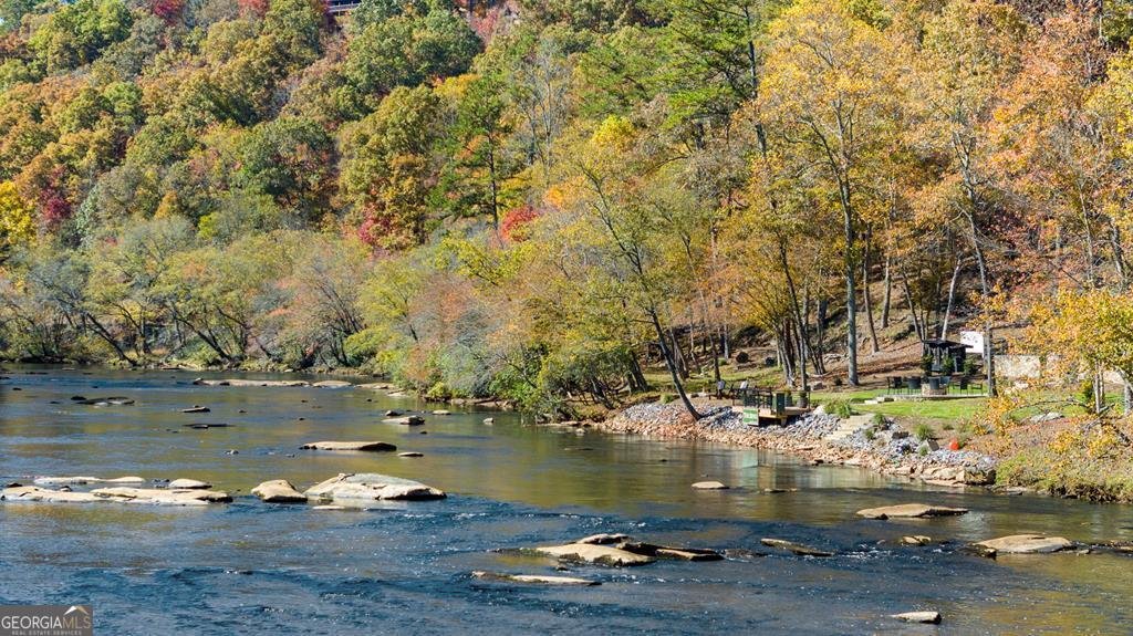 LOT 13 River Rock Lane Blue Ridge - Photo 19