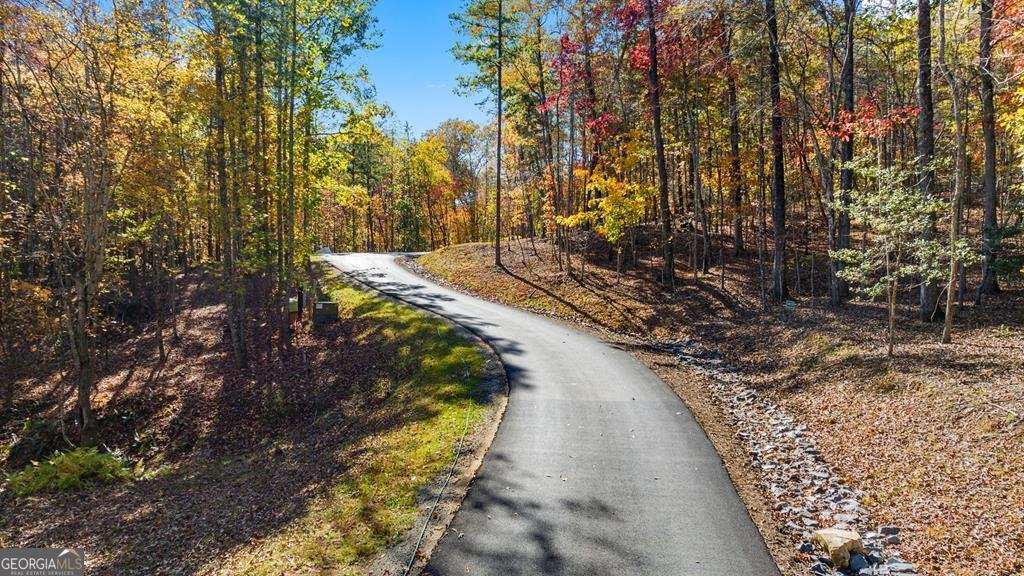 LOT 13 River Rock Lane Blue Ridge - Photo 28