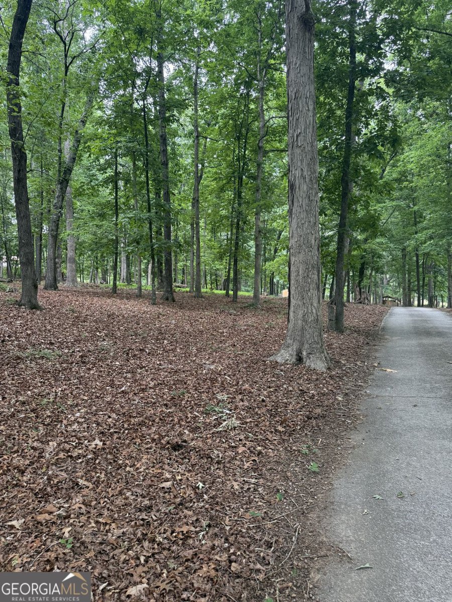 2648 Tribble Mill Road Lawrenceville - Photo 19