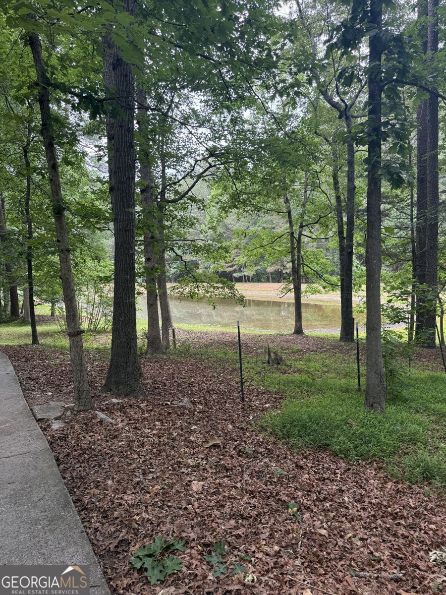 2648 Tribble Mill Road Lawrenceville - Photo 24