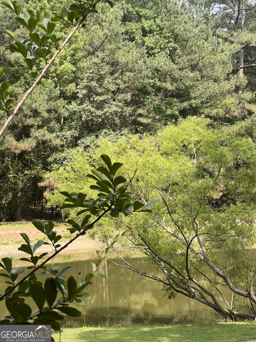2648 Tribble Mill Road Lawrenceville - Photo 38