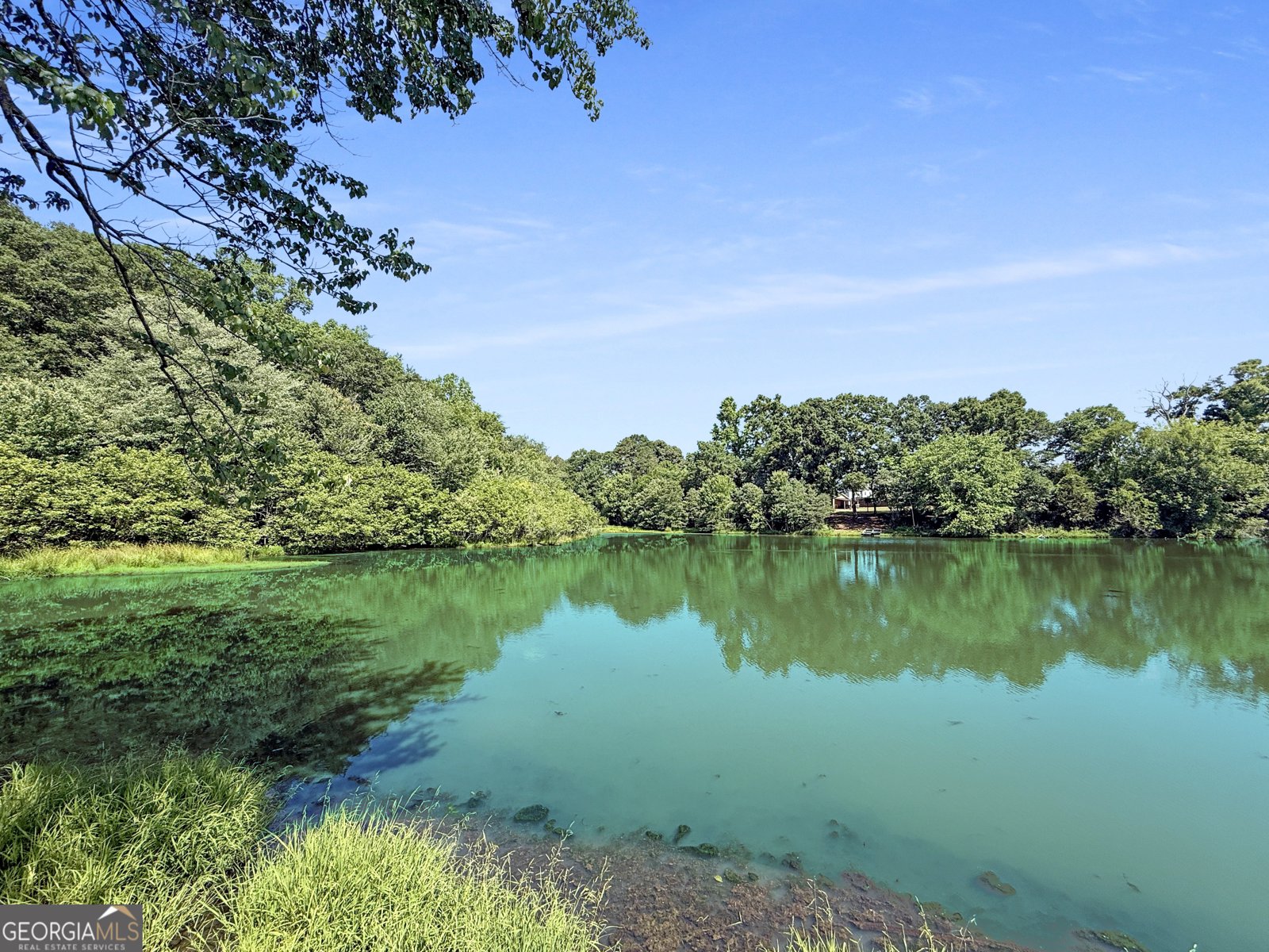 361 Lake Vista Drive Jefferson - Photo 43