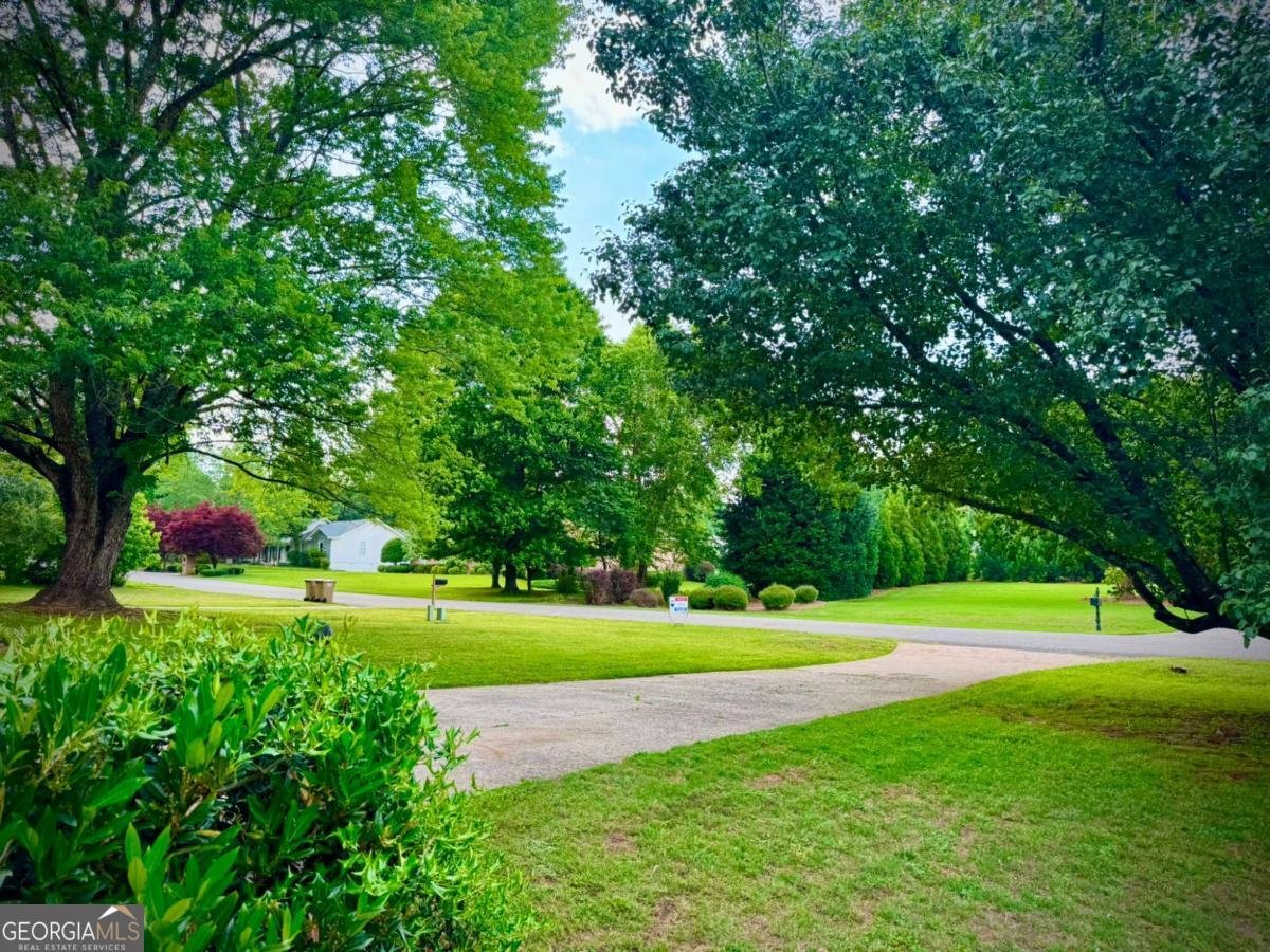 3565 Canon Creek Drive Cumming - Photo 10