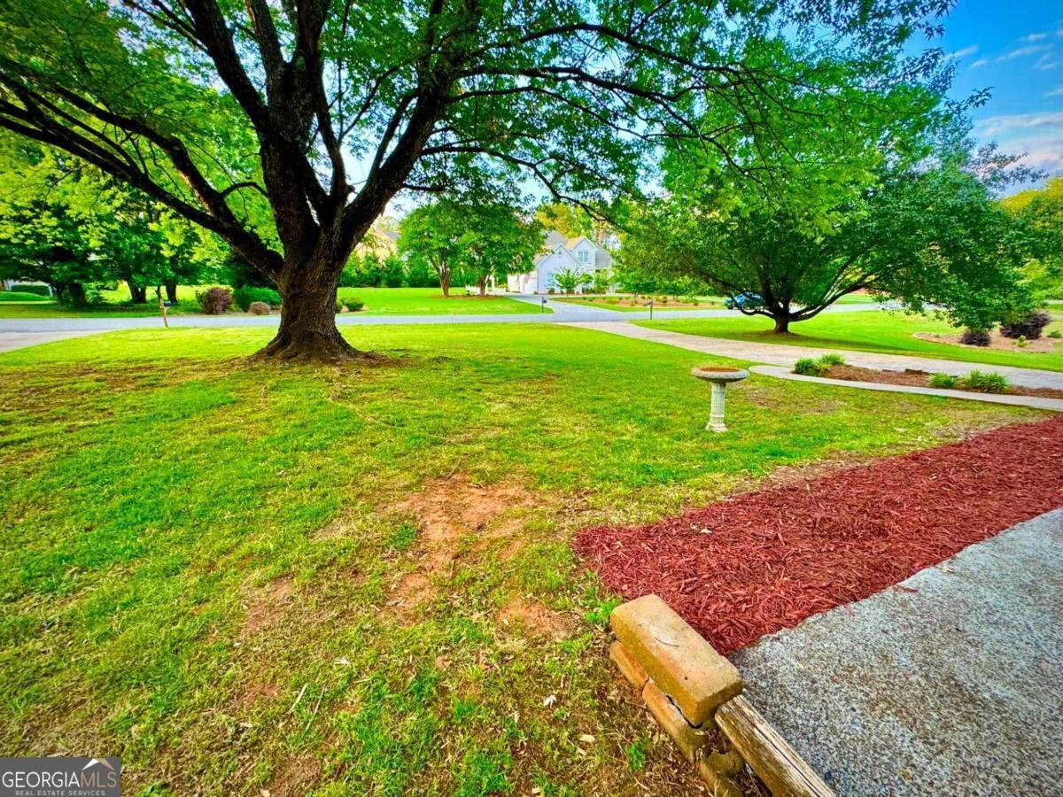 3565 Canon Creek Drive Cumming - Photo 12