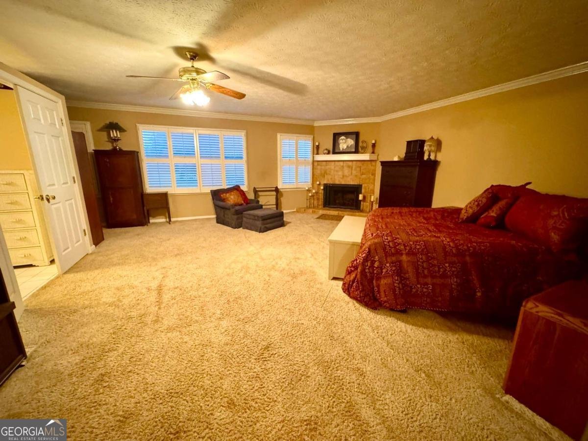 3565 Canon Creek Drive Cumming - Photo 38