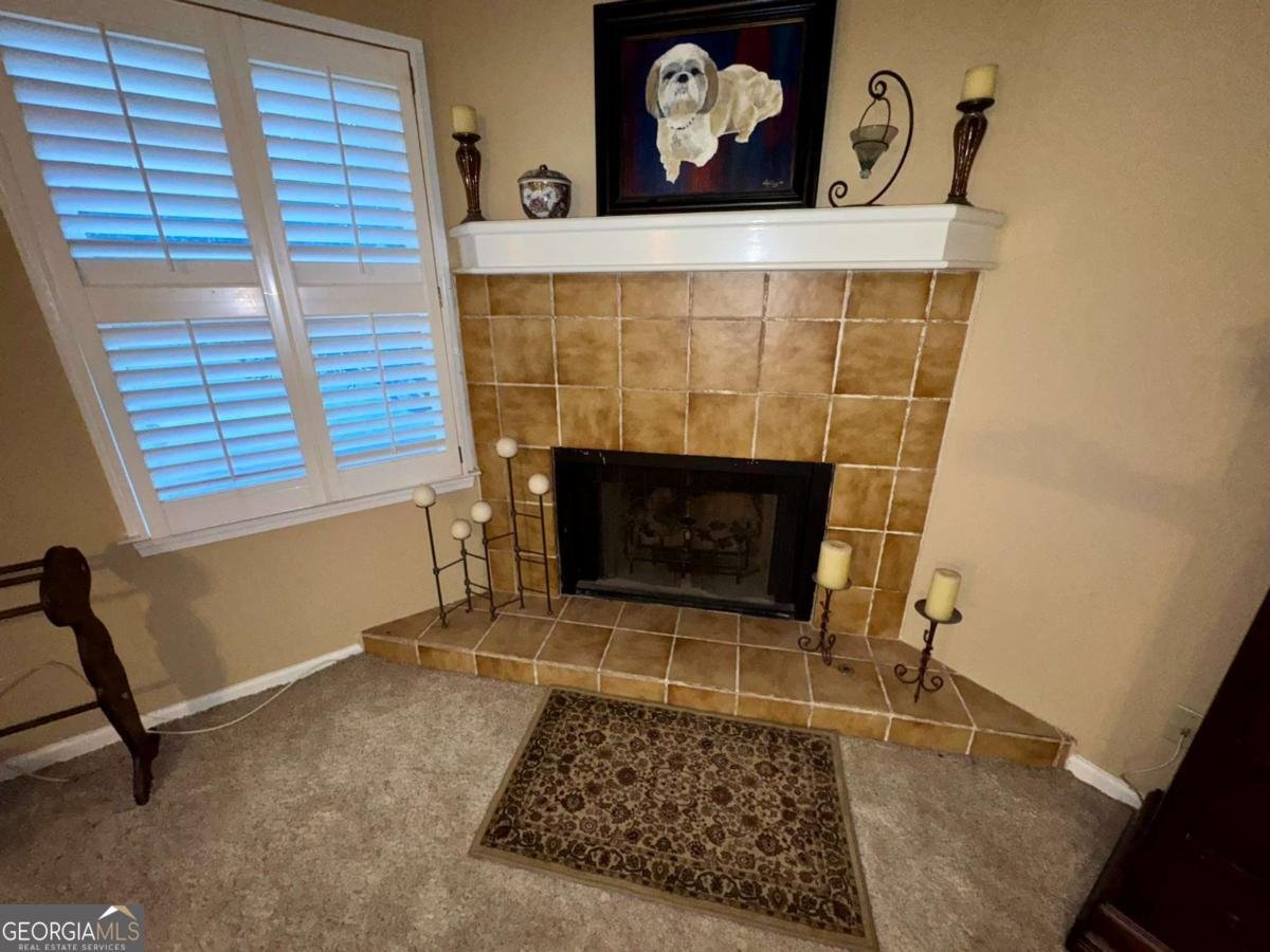 3565 Canon Creek Drive Cumming - Photo 39