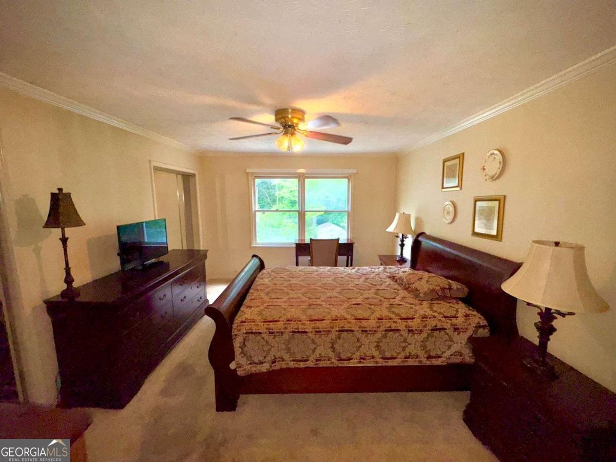 3565 Canon Creek Drive Cumming - Photo 49