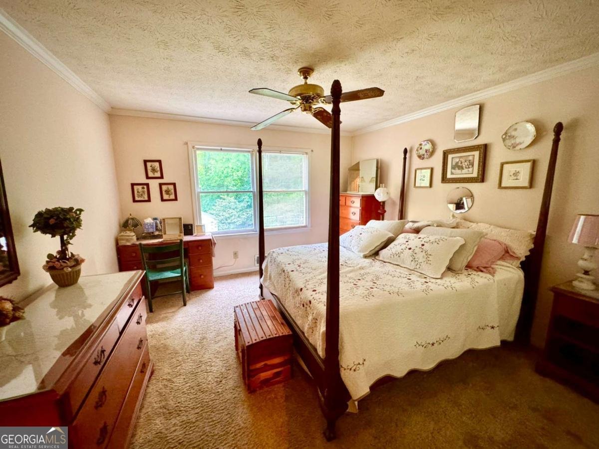 3565 Canon Creek Drive Cumming - Photo 51