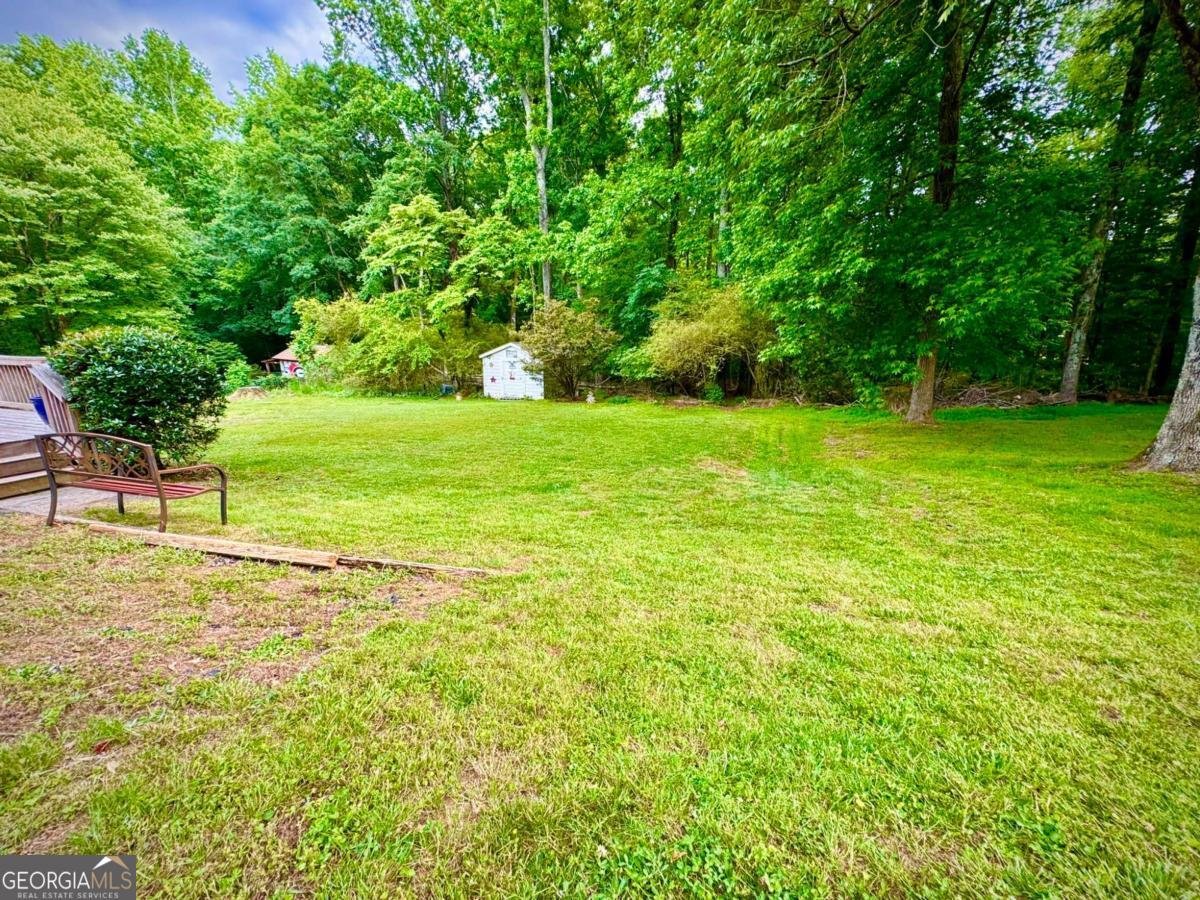 3565 Canon Creek Drive Cumming - Photo 8