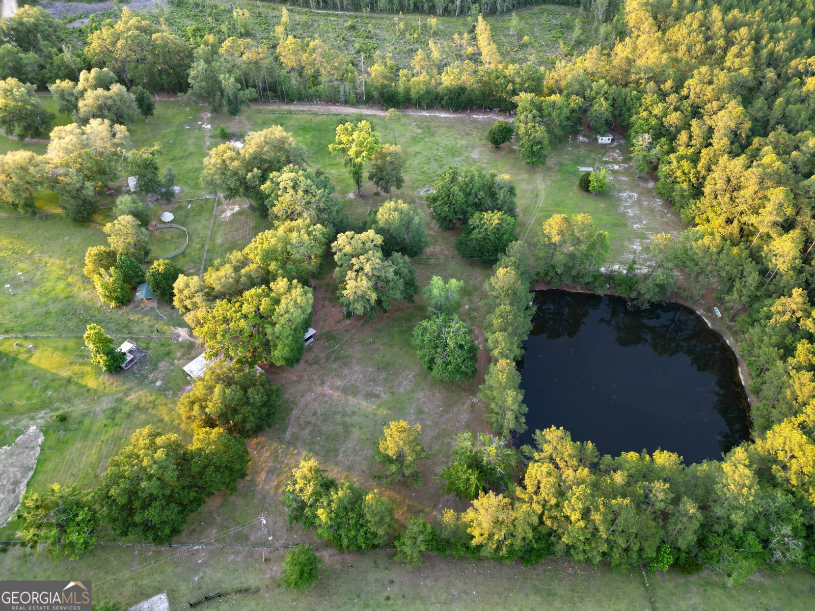 3276 Stafford Dairy Road Ludowici - Photo 6
