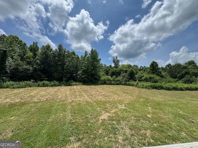 194 Deer Park Drive Chatsworth - Photo 27