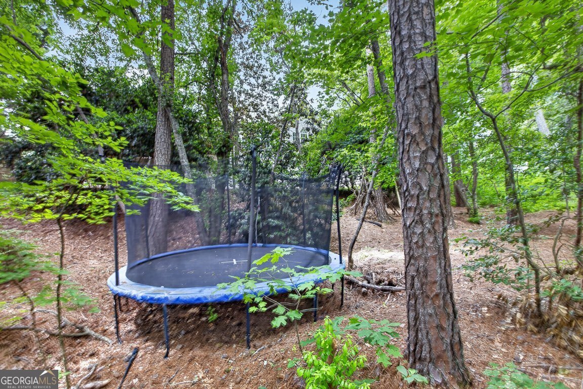 2462 Oak Bluff Drive Dacula - Photo 76