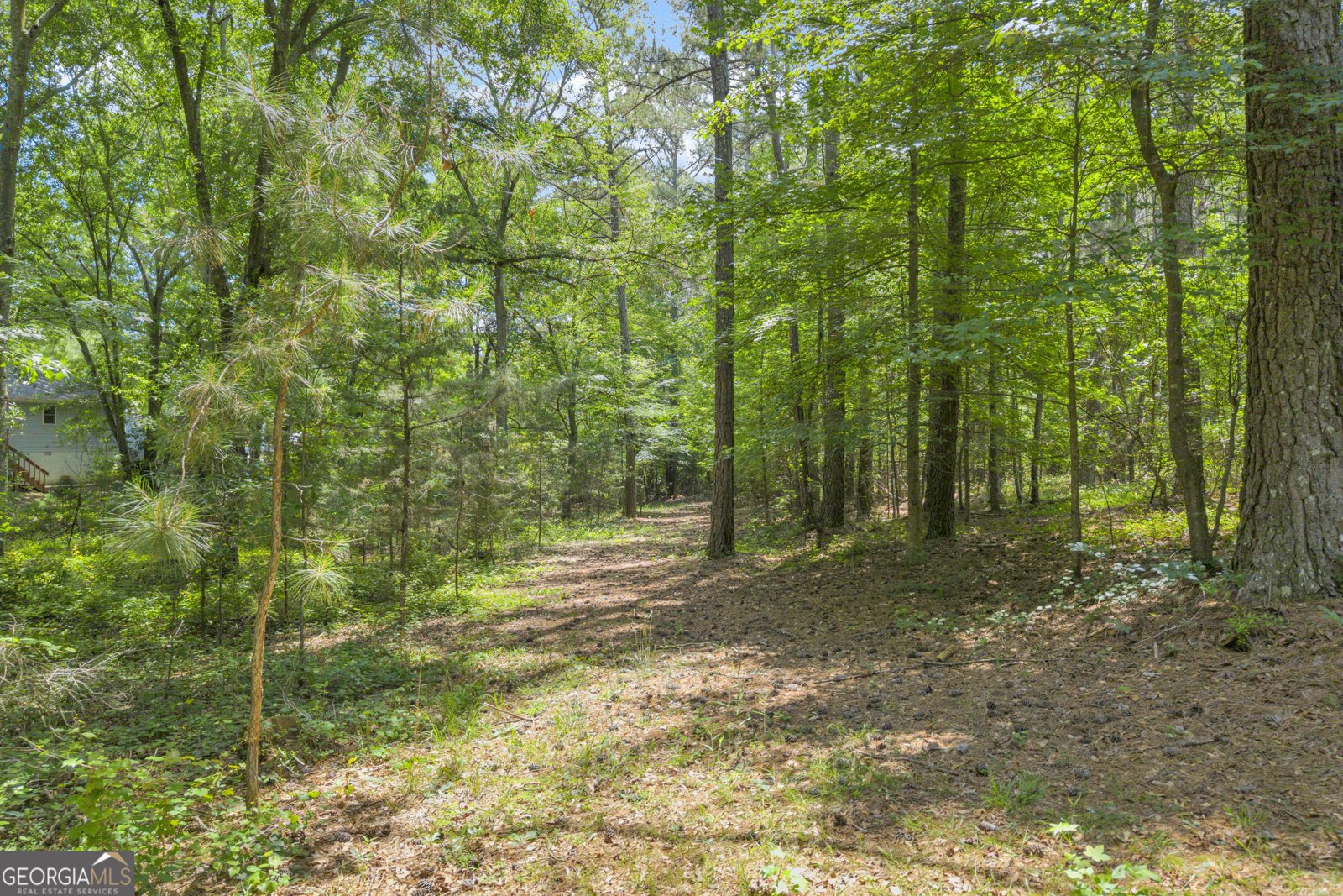 79 Wisteria Cove Estate Hartwell - Photo 52
