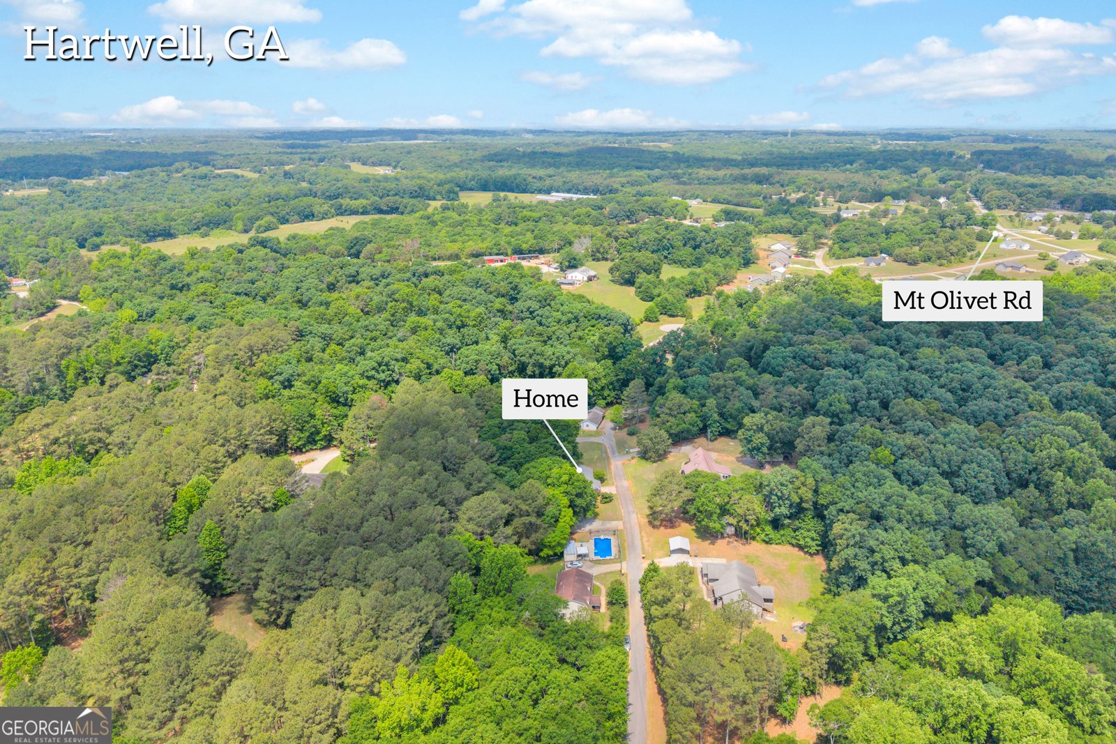 79 Wisteria Cove Estate Hartwell - Photo 55