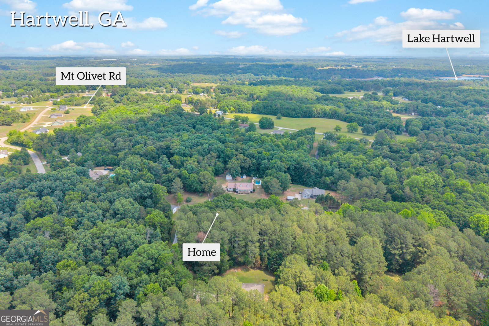 79 Wisteria Cove Estate Hartwell - Photo 56