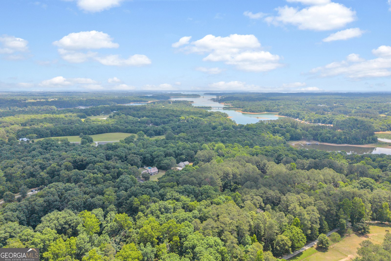 79 Wisteria Cove Estate Hartwell - Photo 61