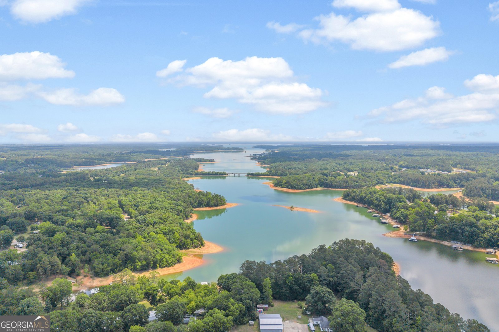 79 Wisteria Cove Estate Hartwell - Photo 62