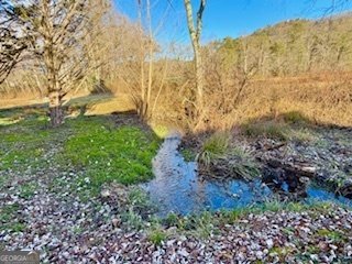 462 River Vista Drive Dillard - Photo 20