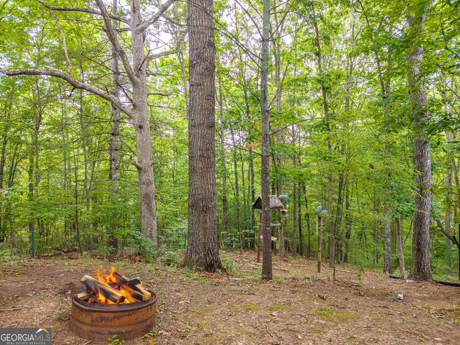 114 Arapaho Walk Mineral Bluff - Photo 56