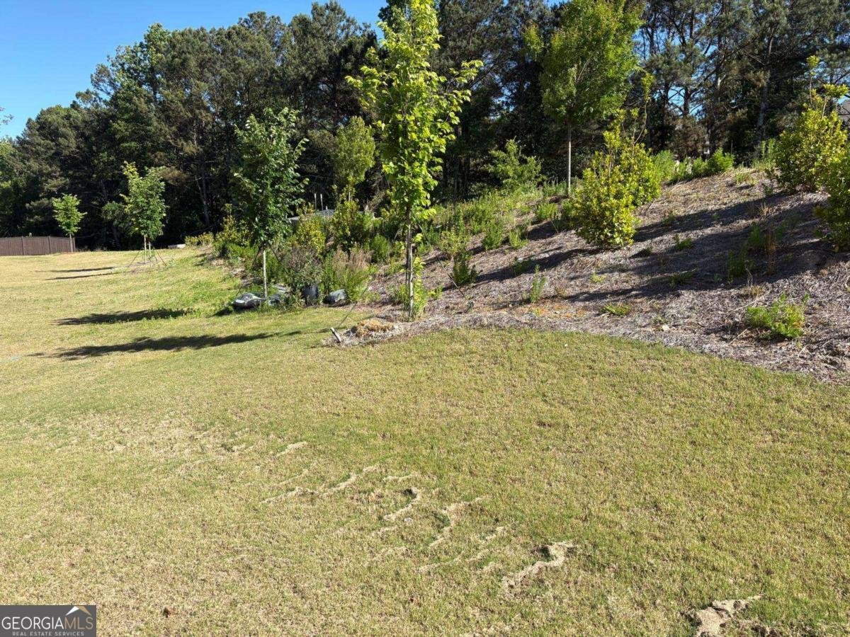 3925 Gallery Chase Cumming - Photo 21