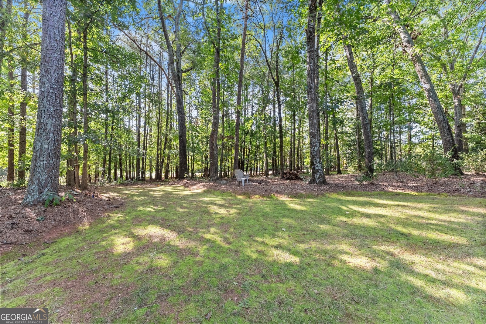 1040 Auburn Road Dacula - Photo 35