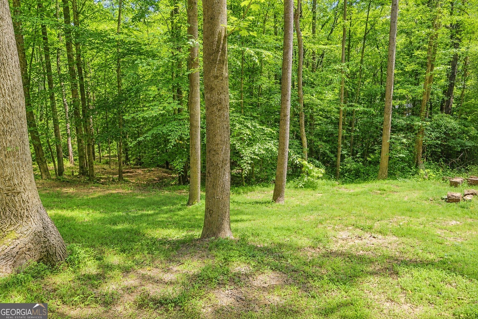2033 Carson Segars Road Maysville - Photo 33