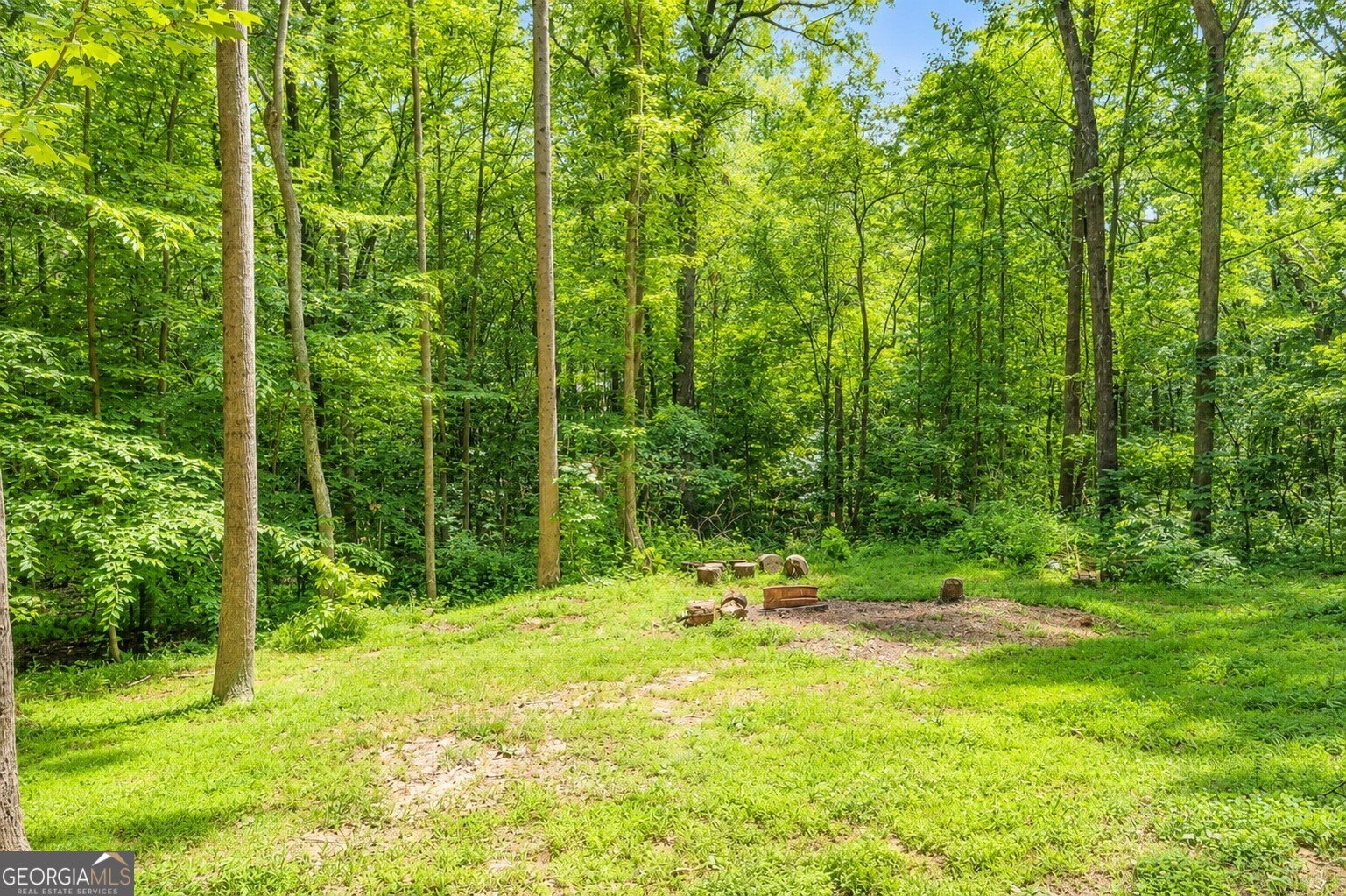 2033 Carson Segars Road Maysville - Photo 34