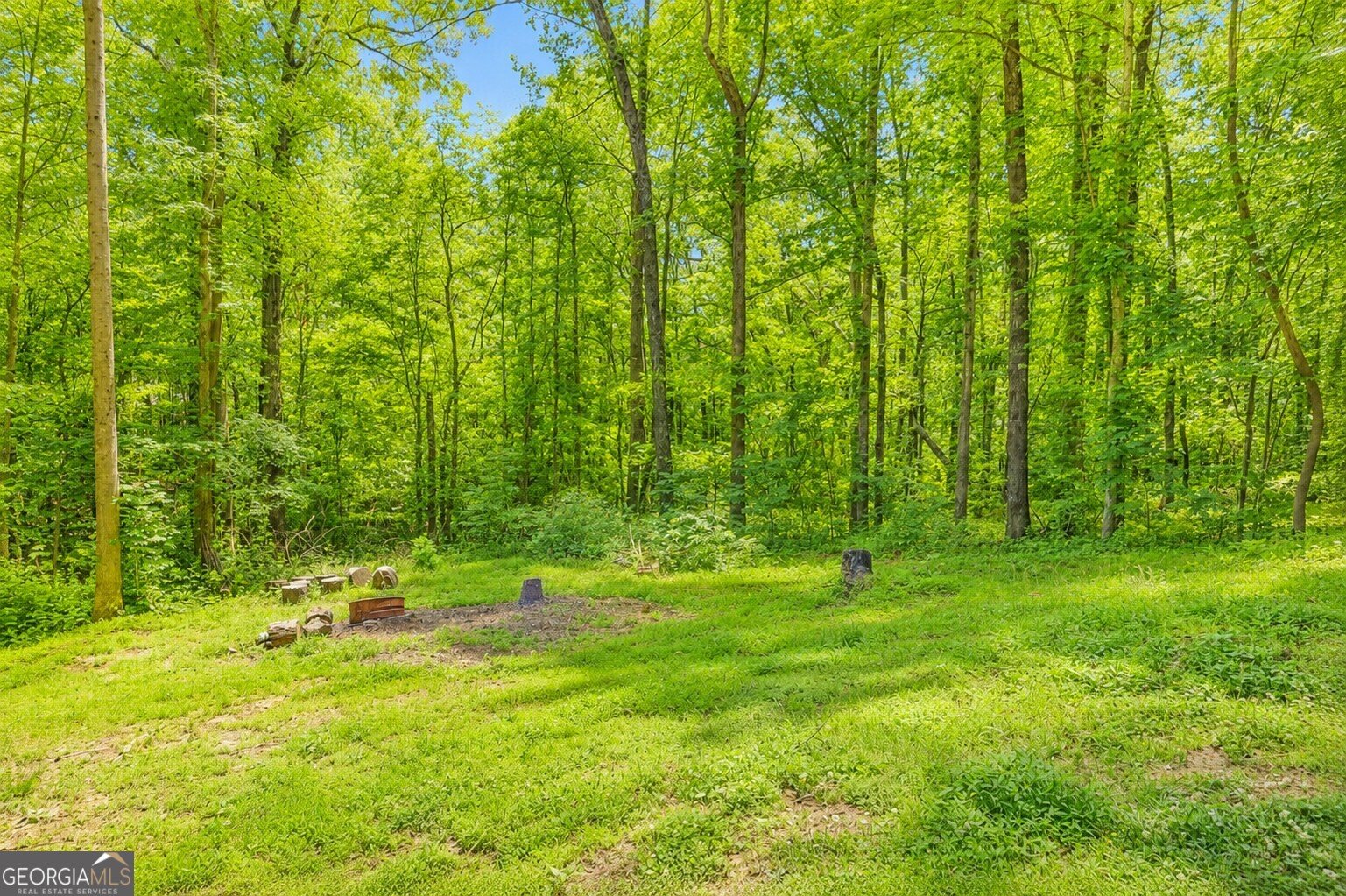 2033 Carson Segars Road Maysville - Photo 35