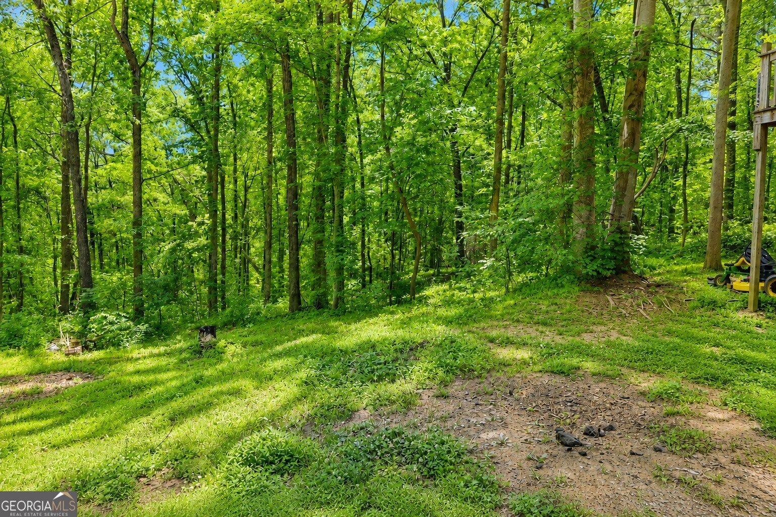 2033 Carson Segars Road Maysville - Photo 36