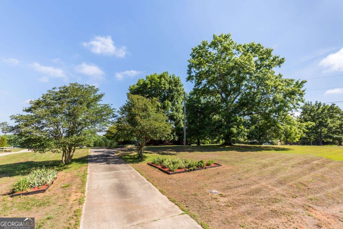 75 Ridgeway Road Maysville - Photo 7