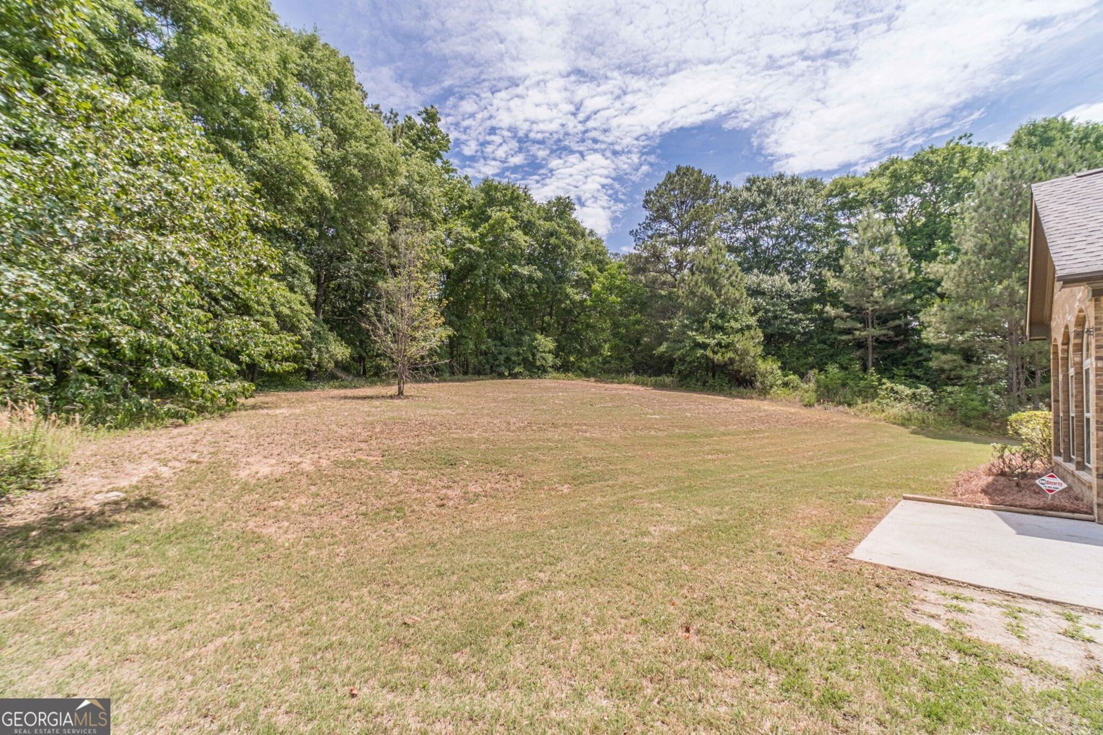 997 Spanish Moss Trail Loganville - Photo 35