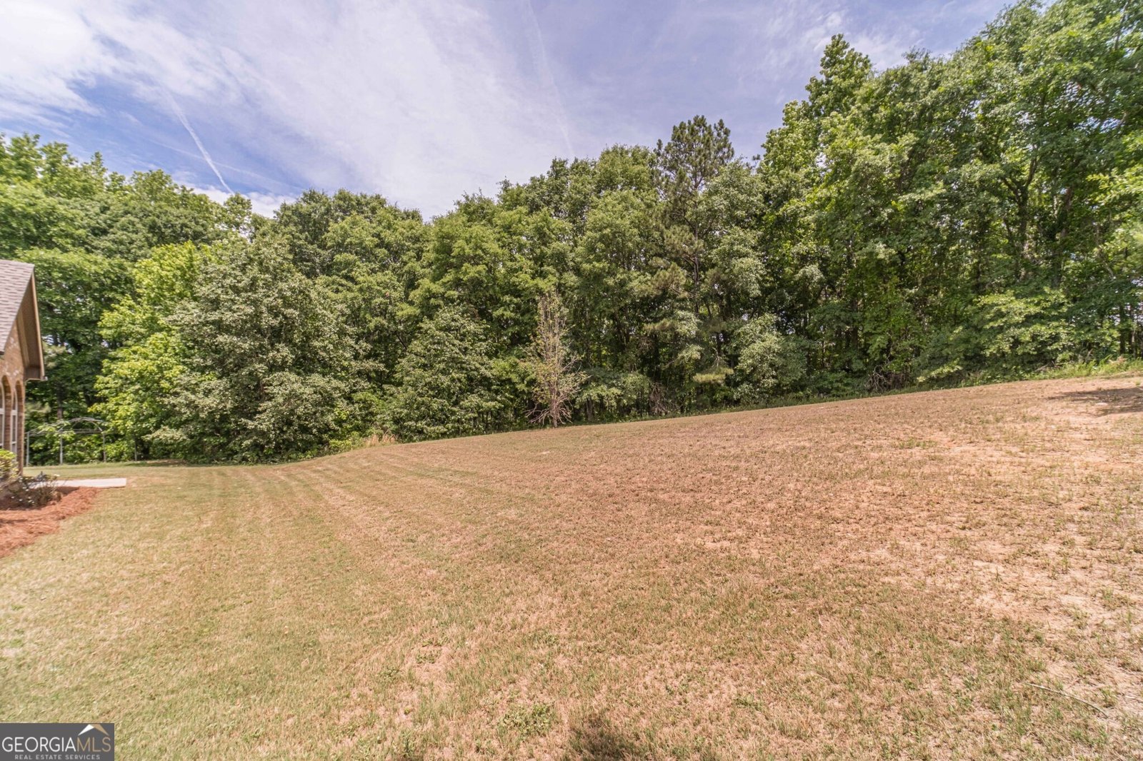 997 Spanish Moss Trail Loganville - Photo 36