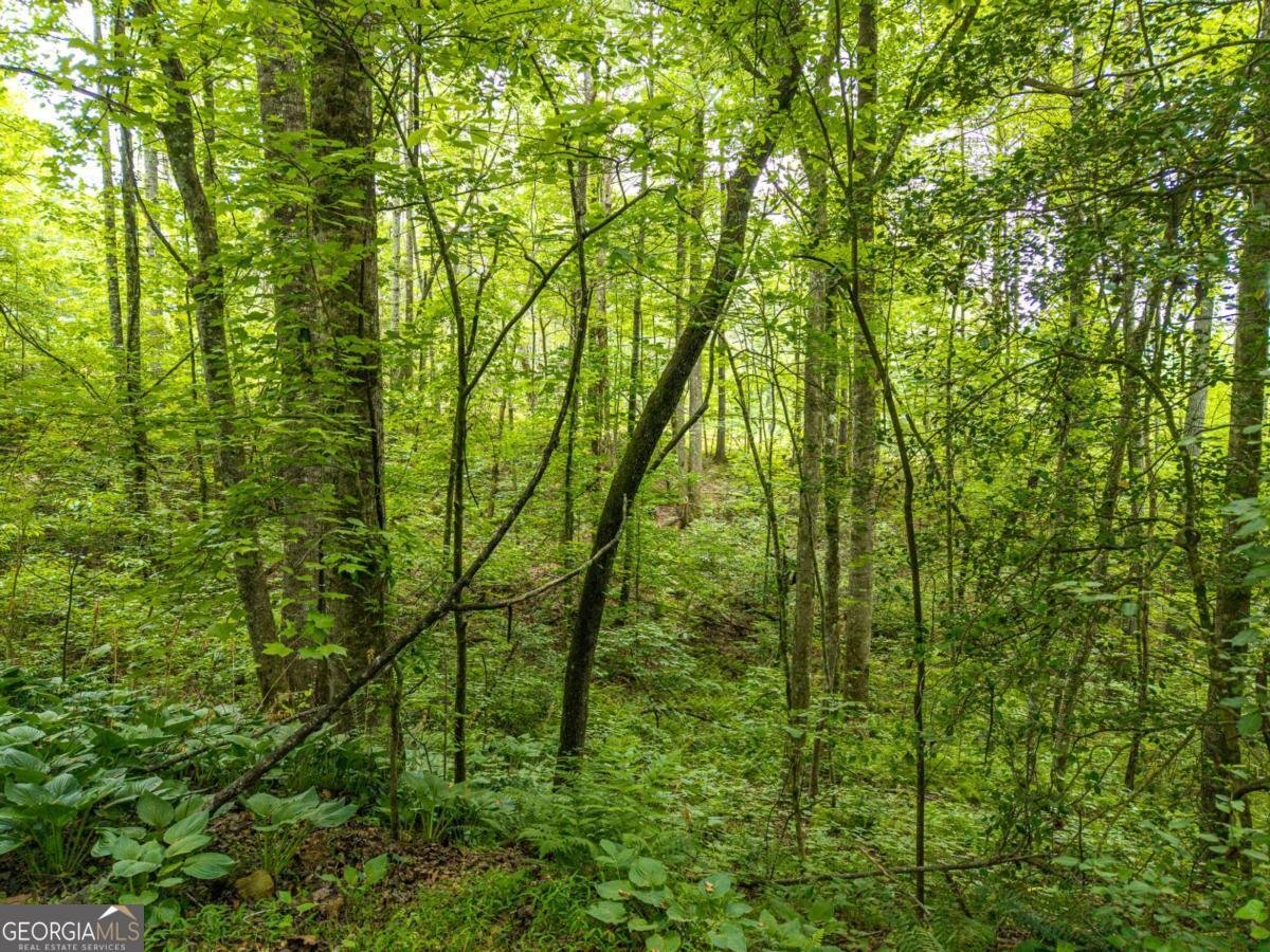 407 Westwind Circle Ellijay - Photo 36