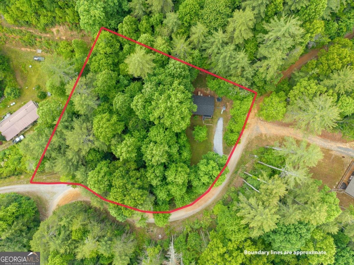 407 Westwind Circle Ellijay - Photo 37