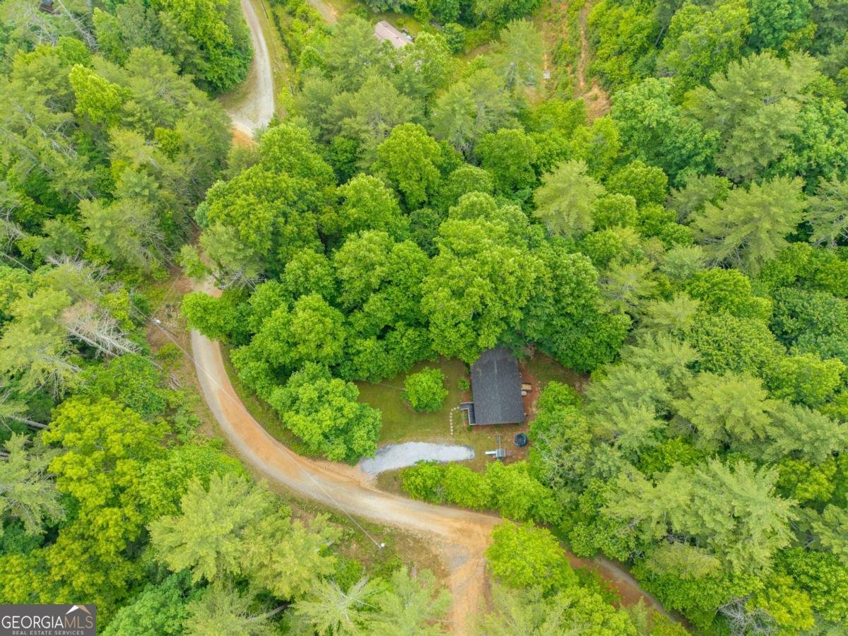 407 Westwind Circle Ellijay - Photo 38