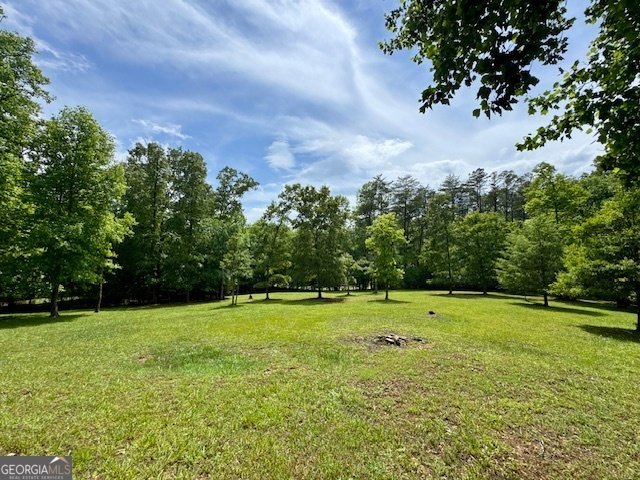 28 Rothgeb Ridge Road Blairsville - Photo 59