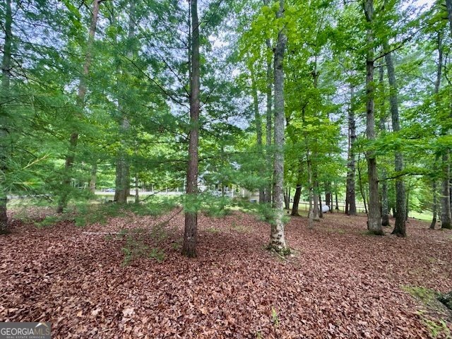 28 Rothgeb Ridge Road Blairsville - Photo 63