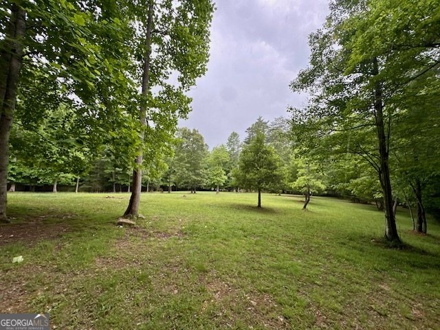 28 Rothgeb Ridge Road Blairsville - Photo 64