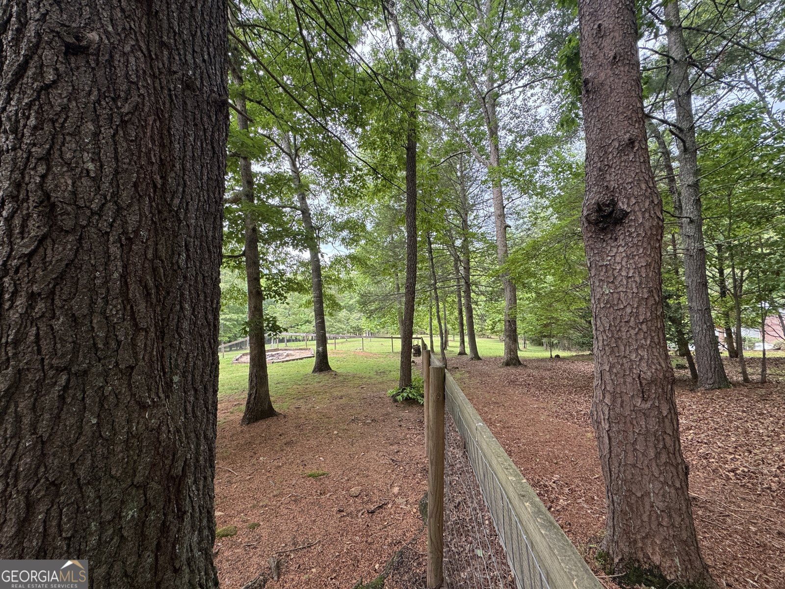 28 Rothgeb Ridge Road Blairsville - Photo 75