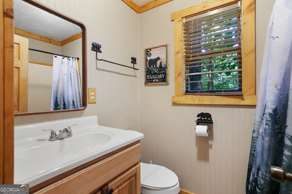 488 Lemmon Lane Ellijay - Photo 24
