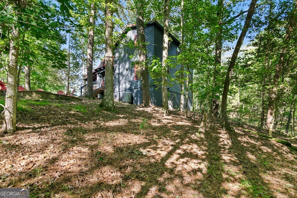 488 Lemmon Lane Ellijay - Photo 27