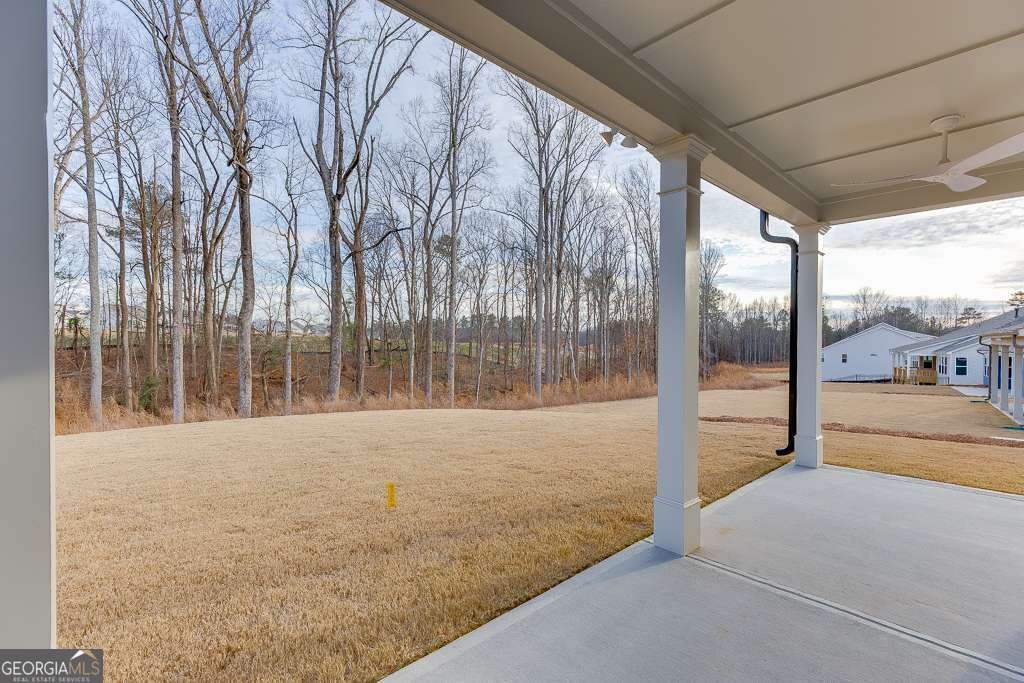 295 Conway Trail Hoschton - Photo 38