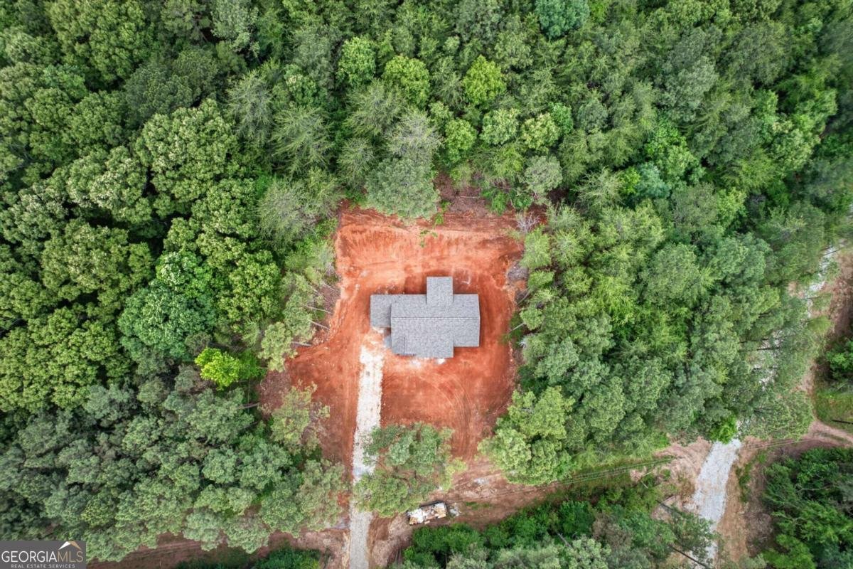 1191 Drummond Road Lindale - Photo 26