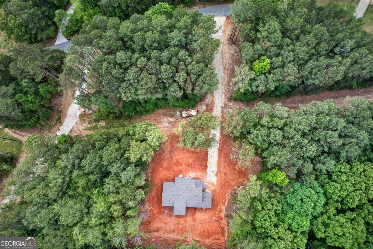 1191 Drummond Road Lindale - Photo 27