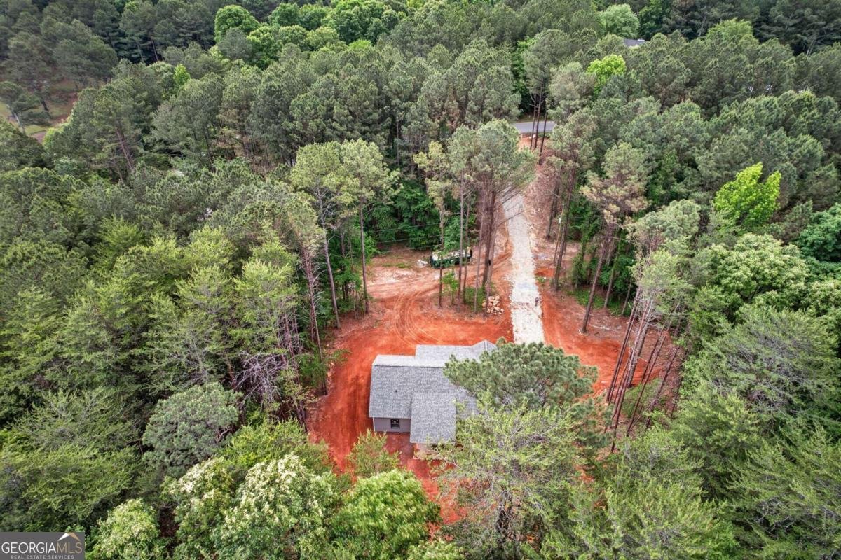 1191 Drummond Road Lindale - Photo 28